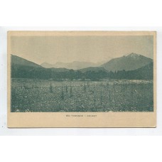 ARGENTINA ENTERO POSTAL GJ TAR-44-V TARJETA POSTAL CON ILUSTRACION AL DORSO NUEVO U$ 15